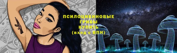 ГАЛЛЮЦИНОГЕННЫЕ ГРИБЫ Зеленокумск